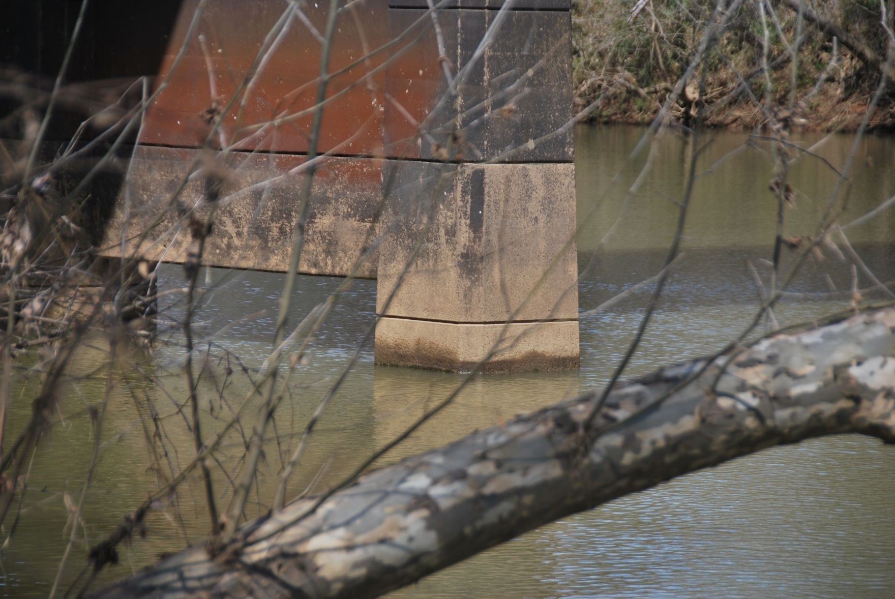 Broad River bridge
